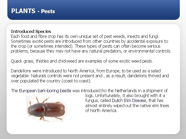 PLANTS - Pests Introduced Species Each food and fibre crop has its own unique