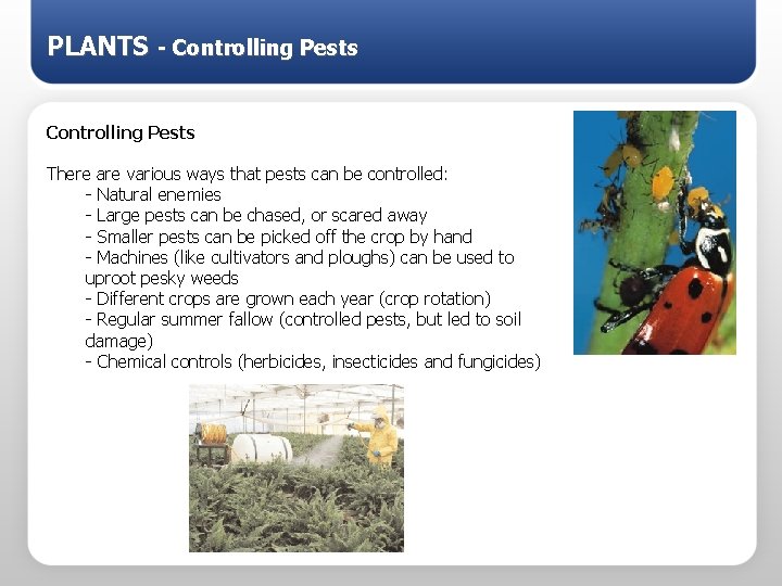 PLANTS - Controlling Pests There are various ways that pests can be controlled: -