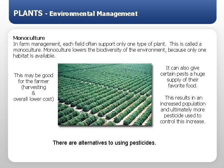 PLANTS - Environmental Management Monoculture In farm management, each field often support only one