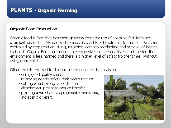 PLANTS - Organic Farming Organic Food Production Organic food is food that has been