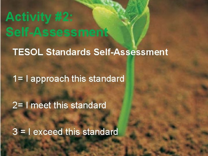 Activity #2: Self-Assessment TESOL Standards Self-Assessment 1= I approach this standard 2= I meet Activity #2: Self-Assessment TESOL Standards Self-Assessment 1= I approach this standard 2= I meet