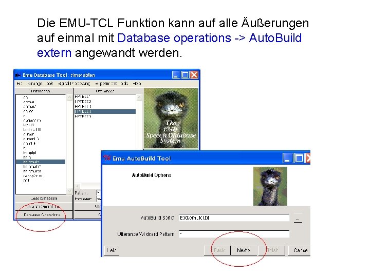 Die EMU-TCL Funktion kann auf alle Äußerungen auf einmal mit Database operations -> Auto.