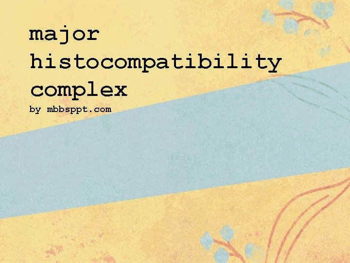 major histocompatibility complex by mbbsppt. com 