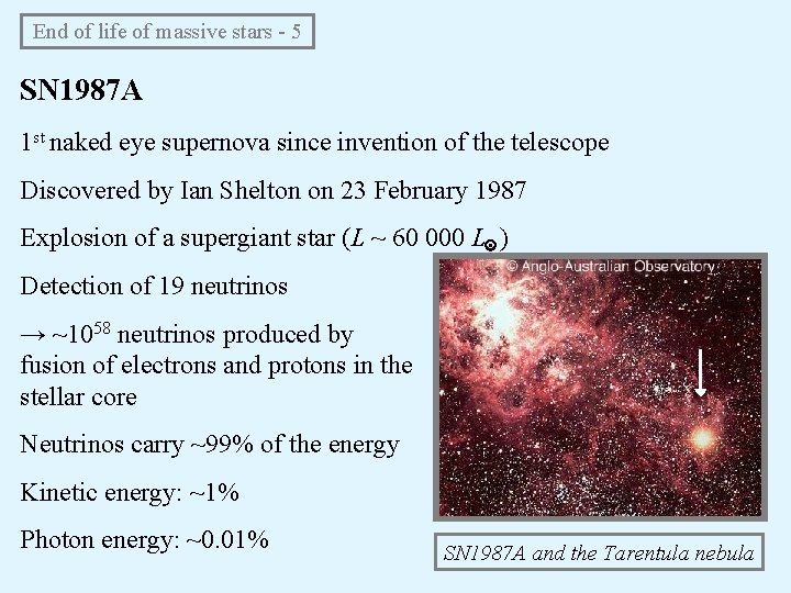 End of life of massive stars - 5 SN 1987 A 1 st naked