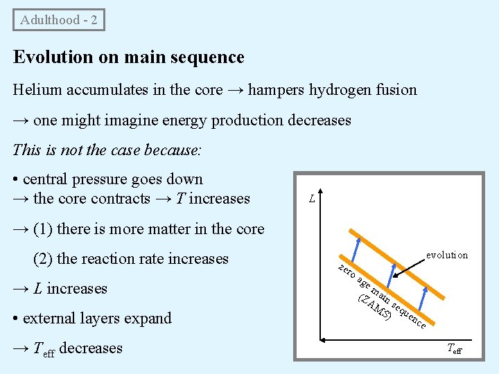 Adulthood - 2 Evolution on main sequence Helium accumulates in the core → hampers