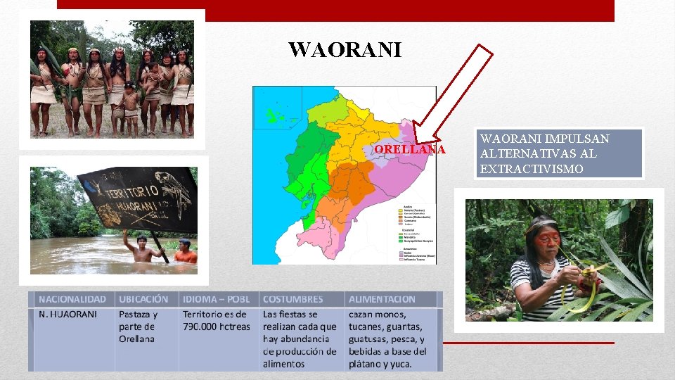 WAORANI ORELLANA WAORANI IMPULSAN ALTERNATIVAS AL EXTRACTIVISMO 