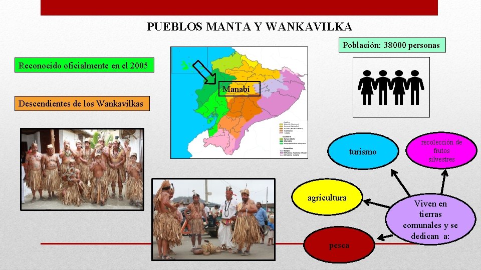 PUEBLOS MANTA Y WANKAVILKA Población: 38000 personas Reconocido oficialmente en el 2005 Manabí Descendientes