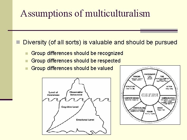 Assumptions of multiculturalism n Diversity (of all sorts) is valuable and should be pursued