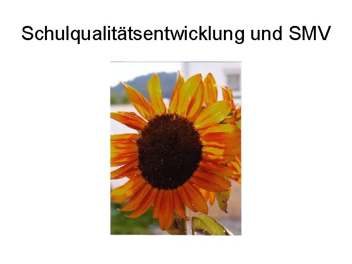 Schulqualitätsentwicklung und SMV 