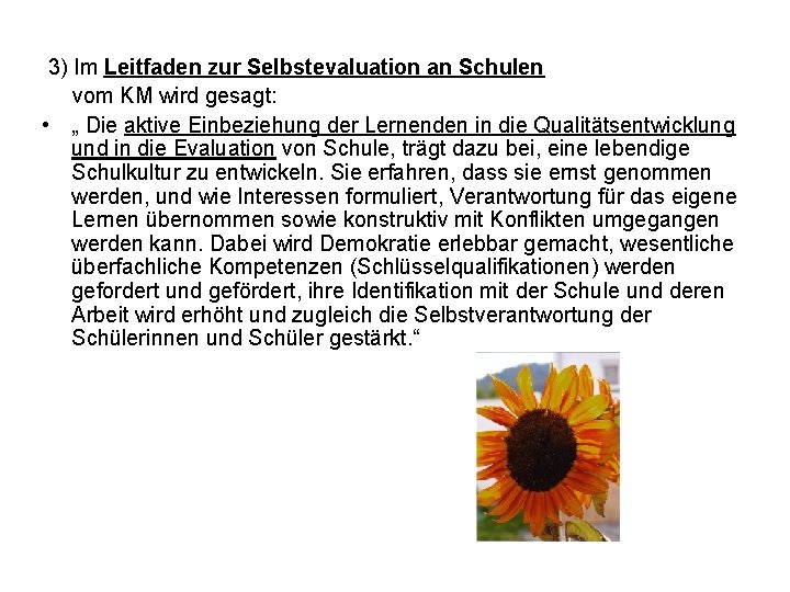 3) Im Leitfaden zur Selbstevaluation an Schulen vom KM wird gesagt: • „ Die