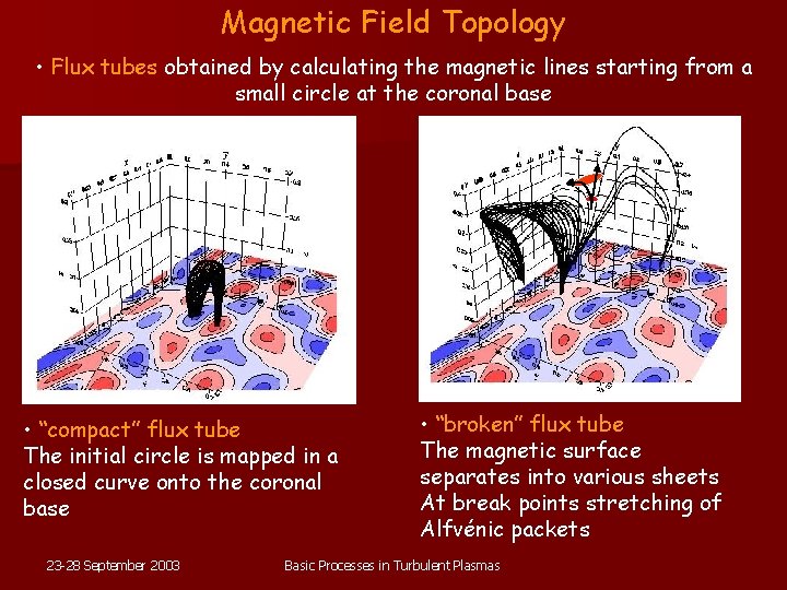 Magnetic Field Topology • Flux tubes obtained by calculating the magnetic lines starting from