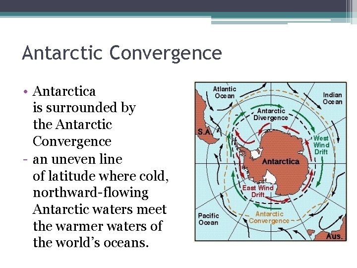 Antarctic Convergence • Antarctica is surrounded by the Antarctic Convergence - an uneven line