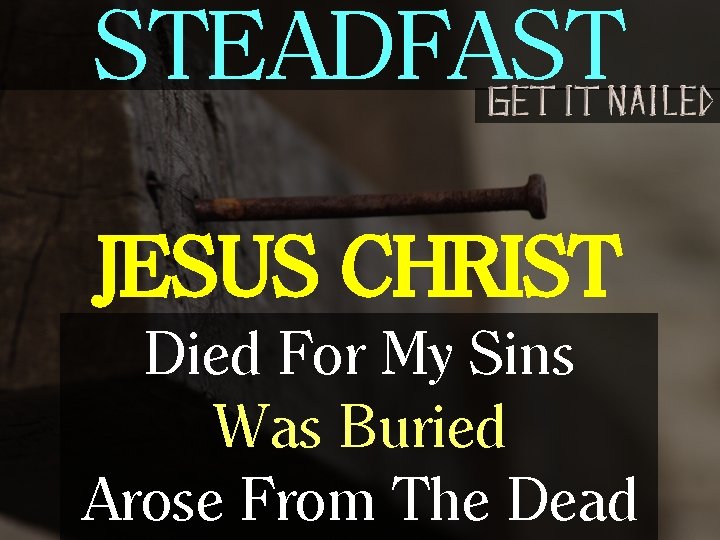 STEADFAST JESUS CHRIST Died For My Sins Was Buried Arose From The Dead 