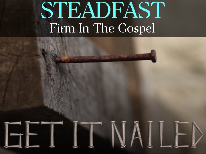 STEADFAST Firm In The Gospel 