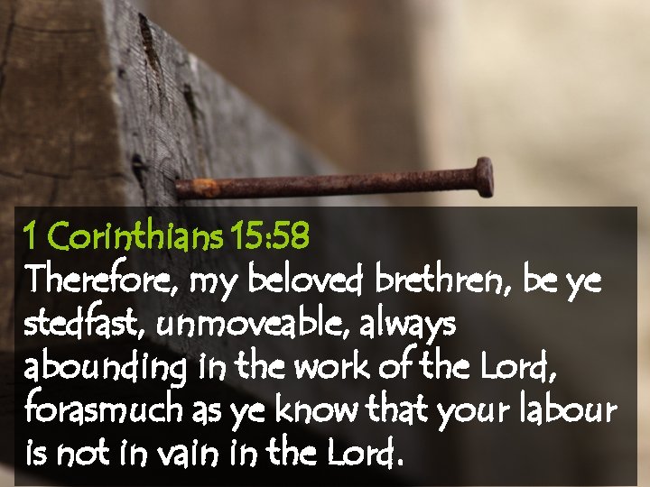 1 Corinthians 15: 58 Therefore, my beloved brethren, be ye stedfast, unmoveable, always abounding