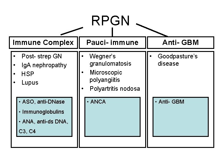 RPGN Immune Complex • • Post- strep GN Ig. A nephropathy HSP Lupus •