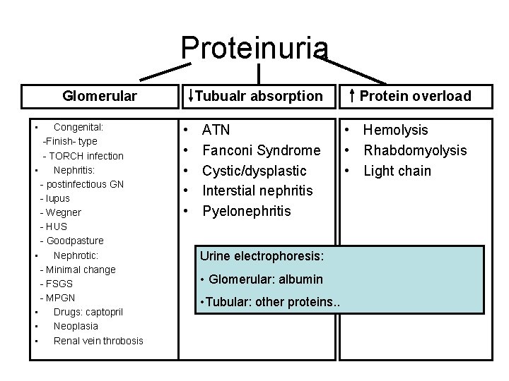 Proteinuria Glomerular • Congenital: -Finish- type - TORCH infection • Nephritis: - postinfectious GN