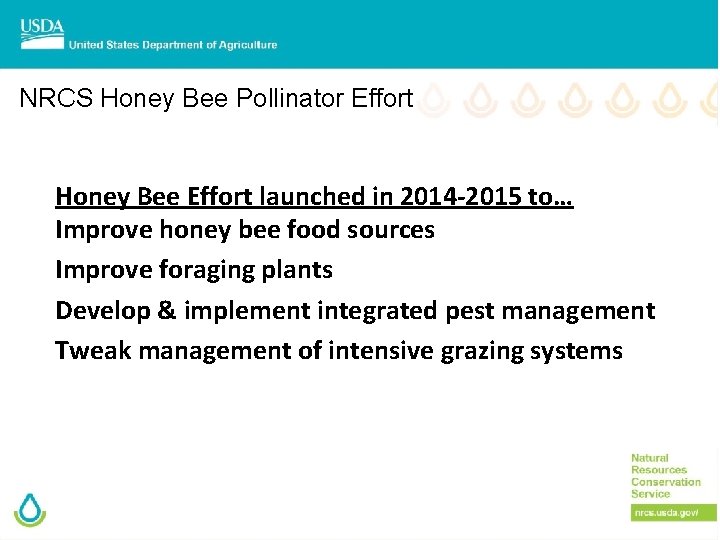 NRCS Honey Bee Pollinator Effort Honey Bee Effort launched in 2014 -2015 to… Improve