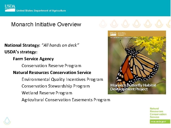 Monarch Initiative Overview National Strategy: “All hands on deck” USDA’s strategy: Farm Service Agency