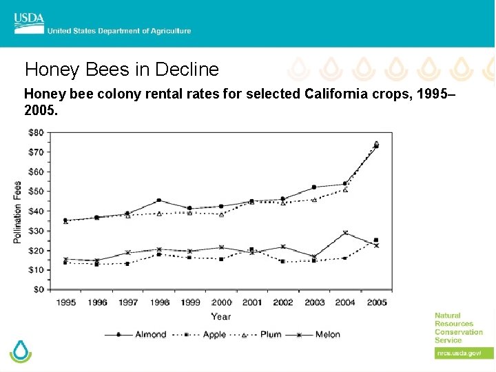 Honey Bees in Decline Honey bee colony rental rates for selected California crops, 1995–