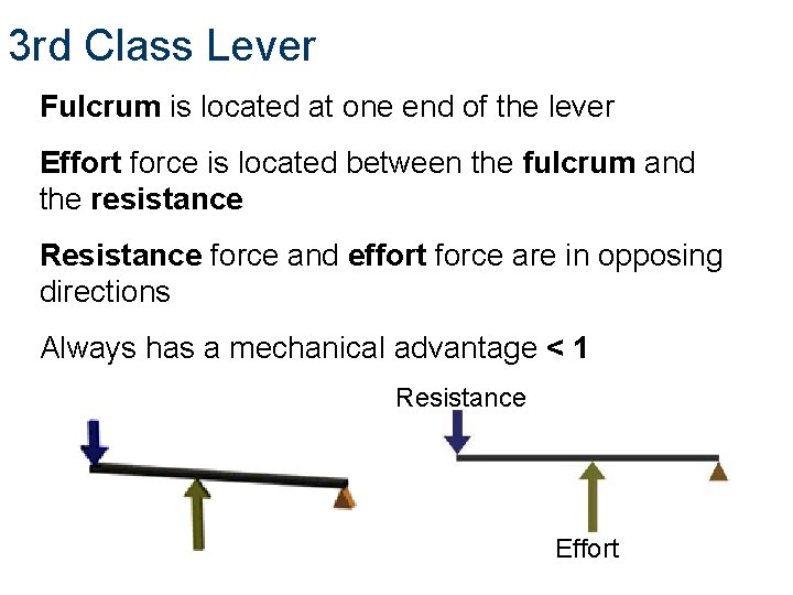 3 rd Class Lever Fulcrum is located at one end of the lever Effort