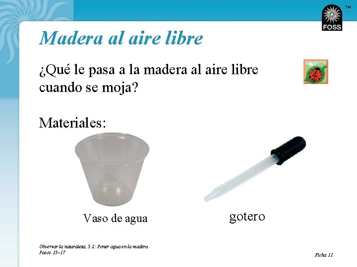 TM Madera al aire libre ¿Qué le pasa a la madera al aire libre