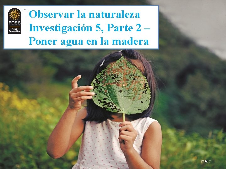 TM TM Observar la naturaleza Investigación 5, Parte 2 – Poner agua en la