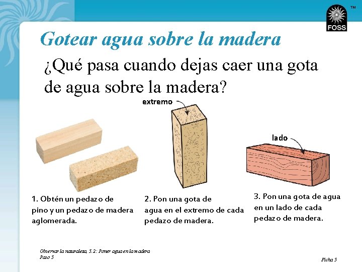 TM Gotear agua sobre la madera ¿Qué pasa cuando dejas caer una gota de