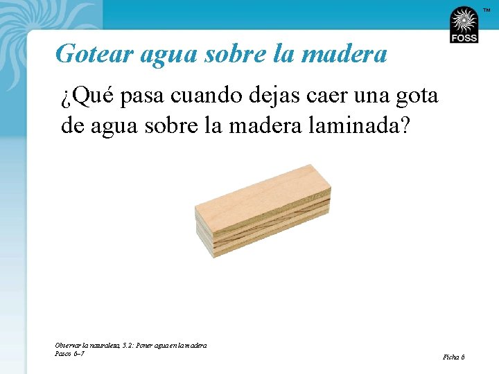 TM Gotear agua sobre la madera ¿Qué pasa cuando dejas caer una gota de