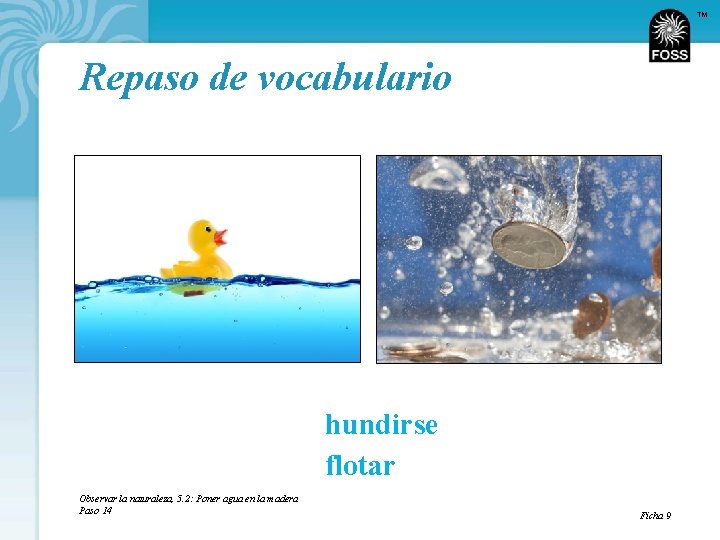 TM Repaso de vocabulario hundirse flotar Observar la naturaleza, 5. 2: Poner agua en