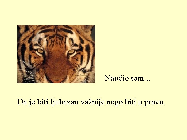 Naučio sam. . . Da je biti ljubazan važnije nego biti u pravu. 