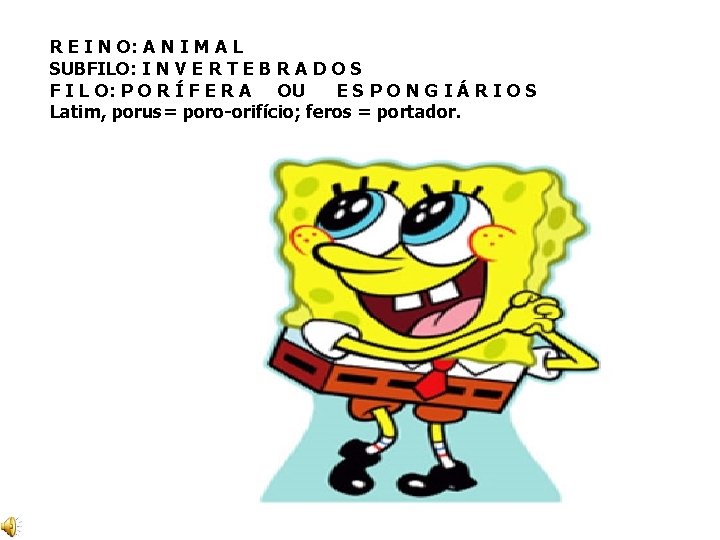 R E I N O: A N I M A L SUBFILO: I N R E I N O: A N I M A L SUBFILO: I N