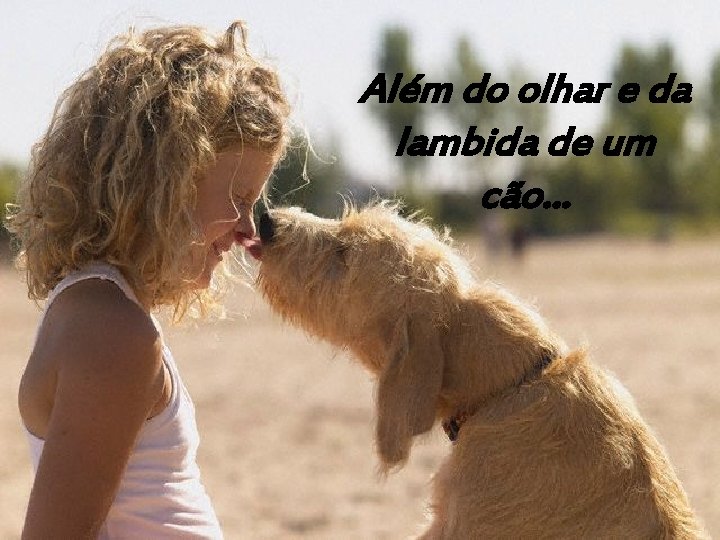 Além do olhar e da lambida de um cão. . . 