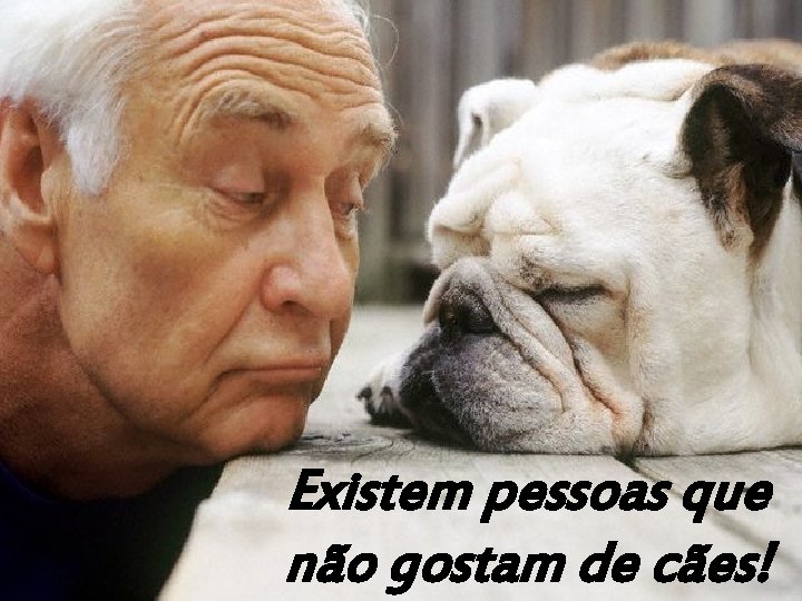 Existem pessoas que não gostam de cães! 