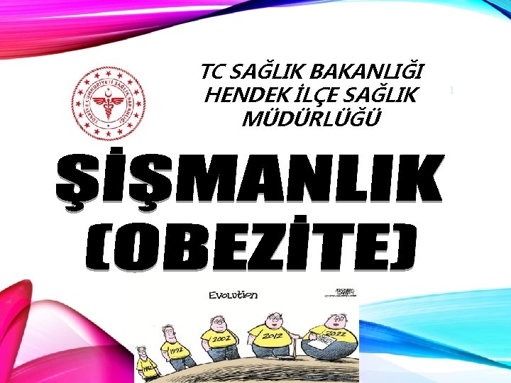 TC SAĞLIK BAKANLIĞI HENDEK İLÇE SAĞLIK MÜDÜRLÜĞÜ 1 