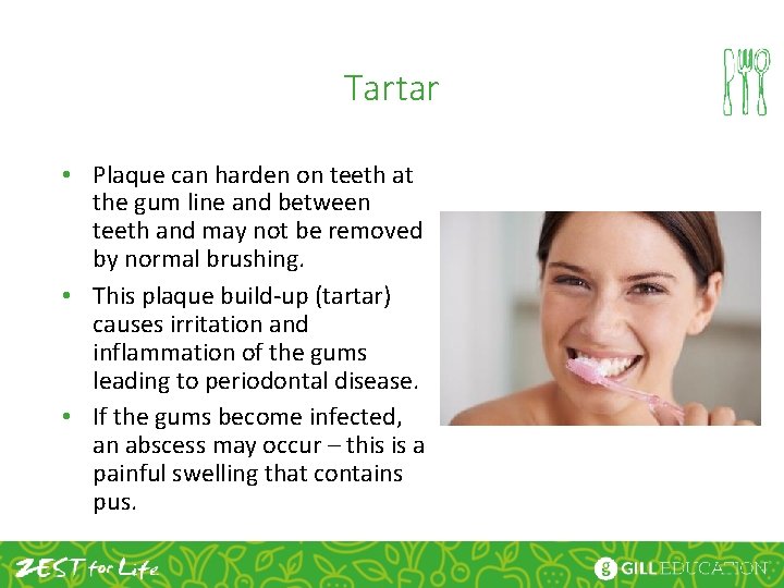 Tartar • Plaque can harden on teeth at the gum line and between teeth