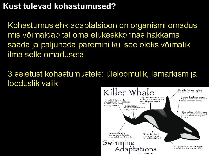 Kust tulevad kohastumused? Kohastumus ehk adaptatsioon on organismi omadus, mis võimaldab tal oma elukeskkonnas