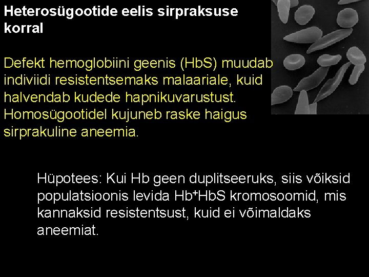 Heterosügootide eelis sirpraksuse korral Defekt hemoglobiini geenis (Hb. S) muudab indiviidi resistentsemaks malaariale, kuid