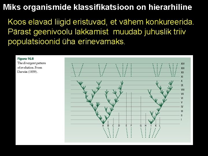 Miks organismide klassifikatsioon on hierarhiline Koos elavad liigid eristuvad, et vähem konkureerida. Pärast geenivoolu