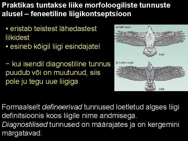 Praktikas tuntakse liike morfoloogiliste tunnuste alusel – feneetiline liigikontseptsioon • eristab teistest lähedastest liikidest