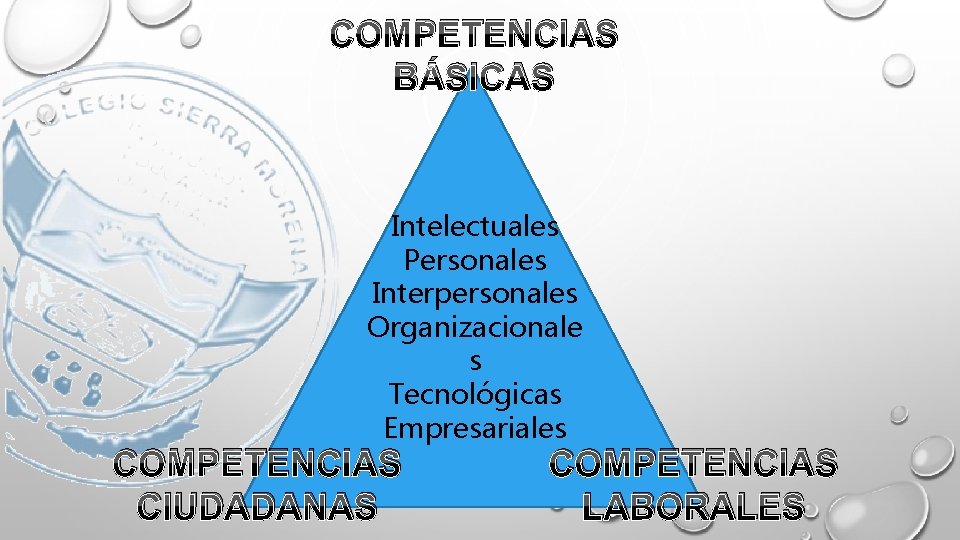 COMPETENCIAS BÁSICAS Intelectuales Personales Interpersonales Organizacionale s Tecnológicas Empresariales COMPETENCIAS CIUDADANAS COMPETENCIAS LABORALES 