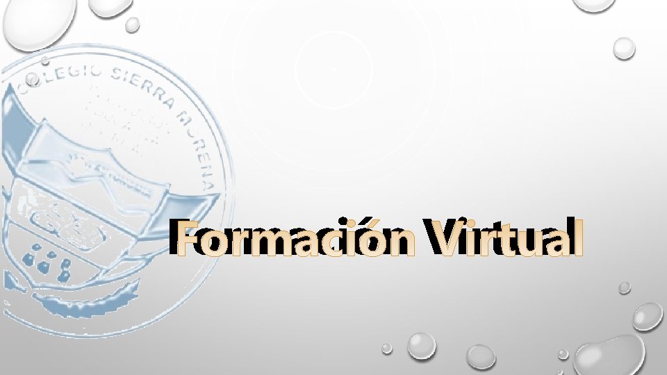 Formación Virtual 