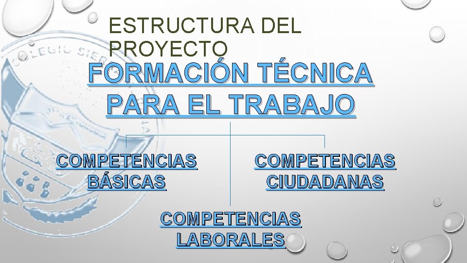 ESTRUCTURA DEL PROYECTO FORMACIÓN TÉCNICA PARA EL TRABAJO COMPETENCIAS BÁSICAS COMPETENCIAS CIUDADANAS COMPETENCIAS LABORALES