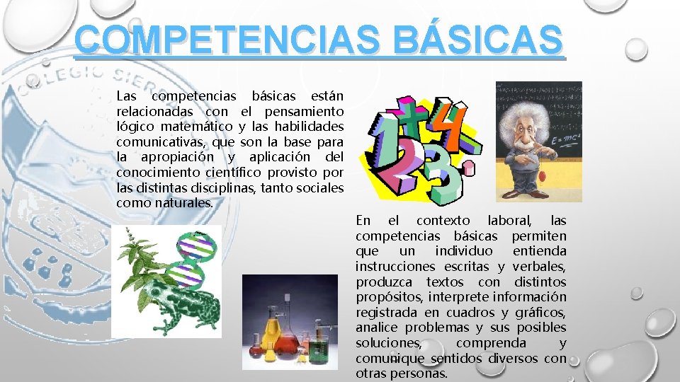 COMPETENCIAS BÁSICAS Las competencias básicas están relacionadas con el pensamiento lógico matemático y las