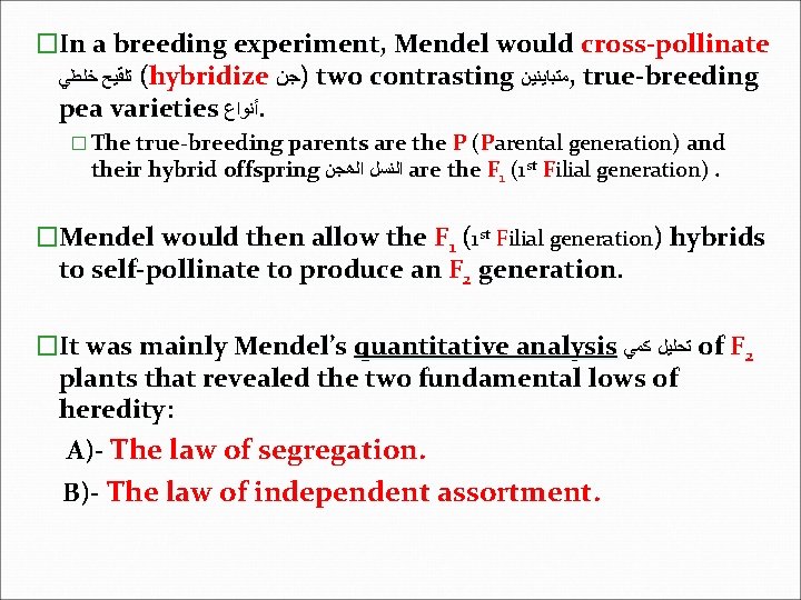 �In a breeding experiment, Mendel would cross-pollinate ( ﺗﻠﻘﻴﺢ ﺧﻠﻄﻲ hybridize )ﺟﻦ two contrasting