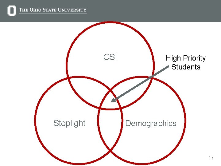 CSI Stoplight High Priority Students Demographics 17 