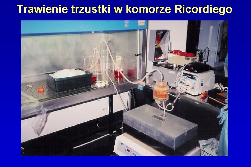 Trawienie trzustki w komorze Ricordiego 