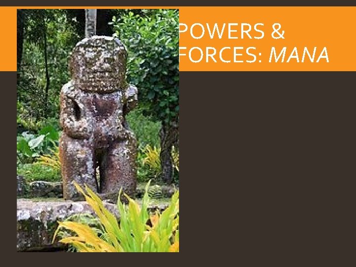 POWERS & FORCES: MANA 