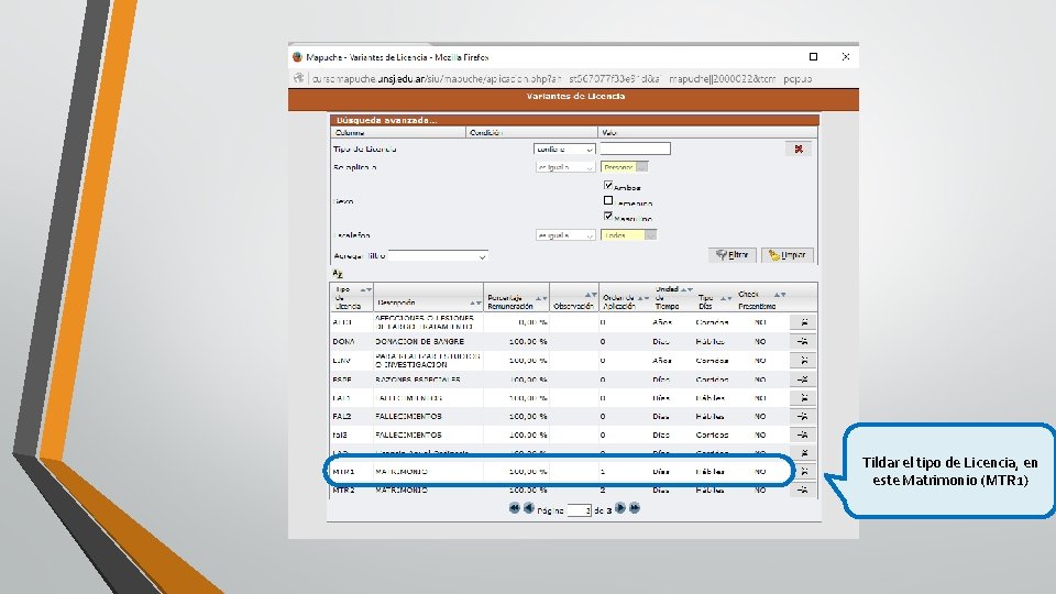 Tildar el tipo de Licencia, en este Matrimonio (MTR 1) 
