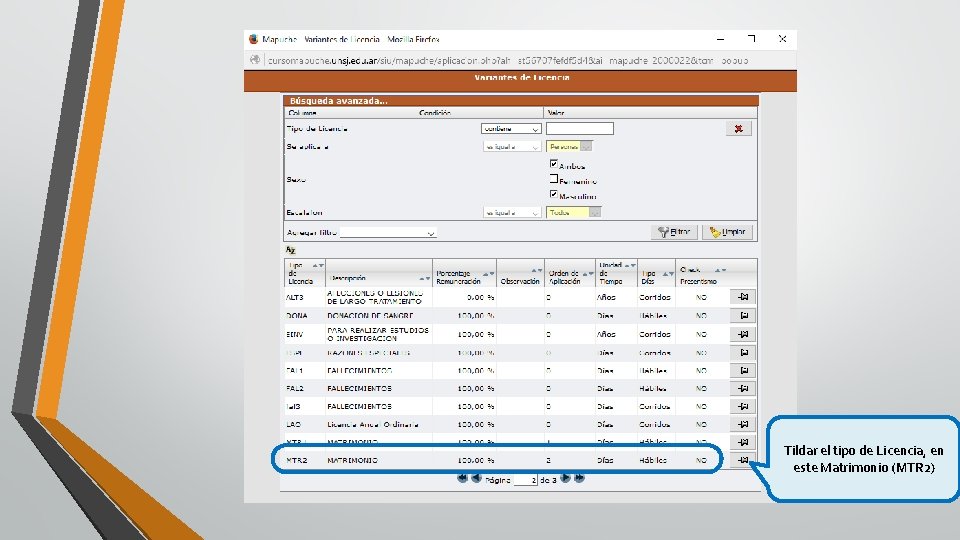 Tildar el tipo de Licencia, en este Matrimonio (MTR 2) 